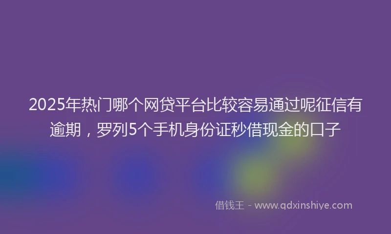 2025年热门哪个网贷平台比较容易通过呢征信有逾期，罗列5个手机身份证秒借现金的口子