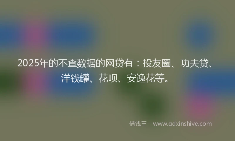 2025年的不查数据的网贷有：投友圈、功夫贷、洋钱罐、花呗、安逸花等。