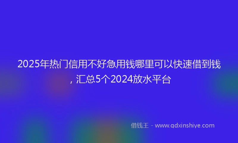 2025年热门信用不好急用钱哪里可以快速借到钱，汇总5个2024放水平台