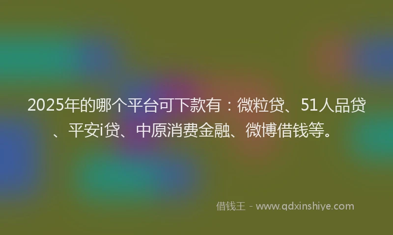 2025年的哪个平台可下款有：微粒贷、51人品贷、平安i贷、中原消费金融、微博借钱等。