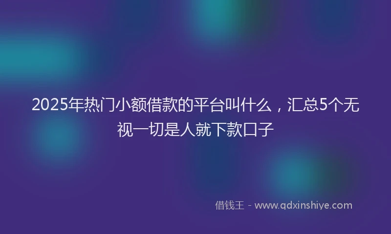2025年热门小额借款的平台叫什么，汇总5个无视一切是人就下款口子