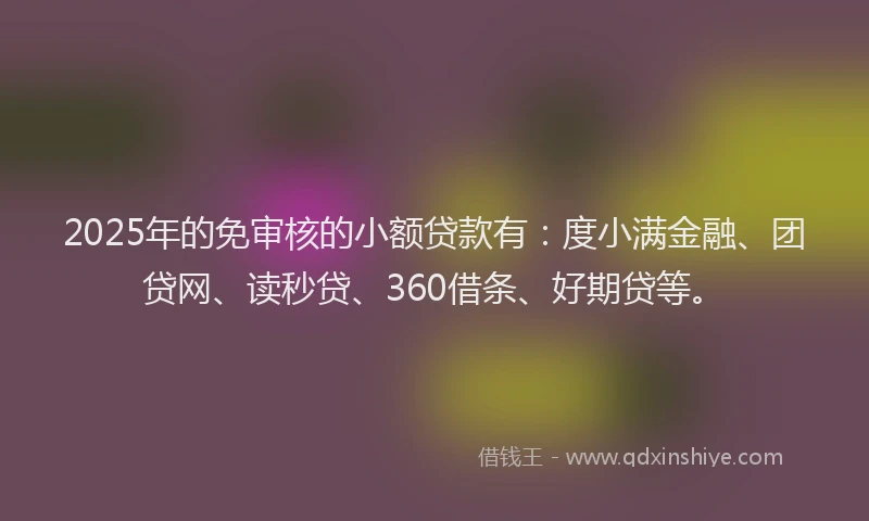 2025年的免审核的小额贷款有：度小满金融、团贷网、读秒贷、360借条、好期贷等。