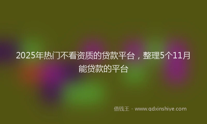 2025年热门不看资质的贷款平台，整理5个11月能贷款的平台
