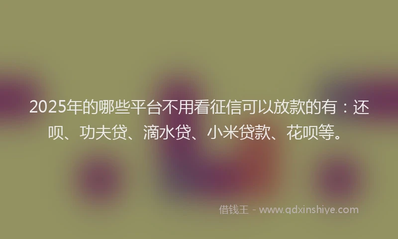 2025年的哪些平台不用看征信可以放款的有：还呗、功夫贷、滴水贷、小米贷款、花呗等。