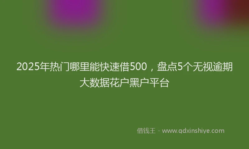 2025年热门哪里能快速借500，盘点5个无视逾期大数据花户黑户平台