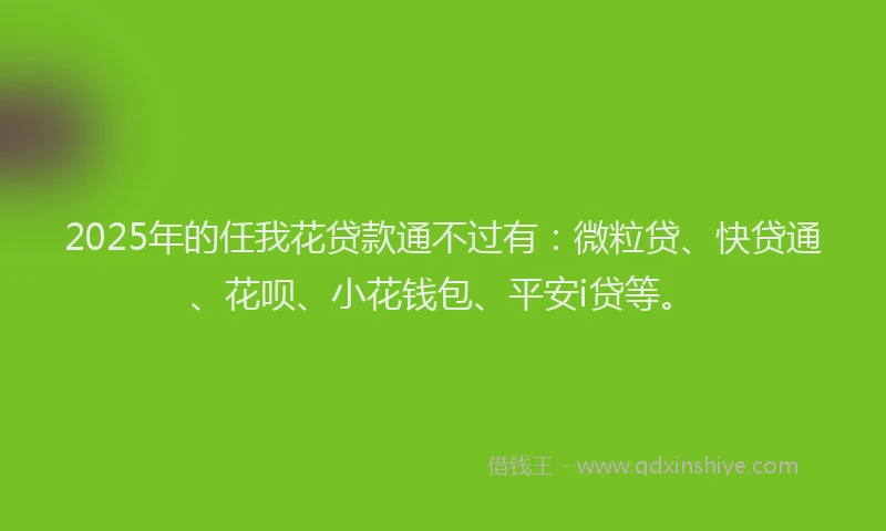 2025年的任我花贷款通不过有：微粒贷、快贷通、花呗、小花钱包、平安i贷等。