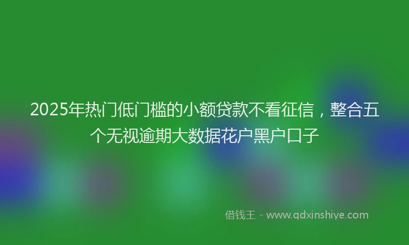 2025年热门低门槛的小额贷款不看征信，整合五个无视逾期大数据花户黑户口子