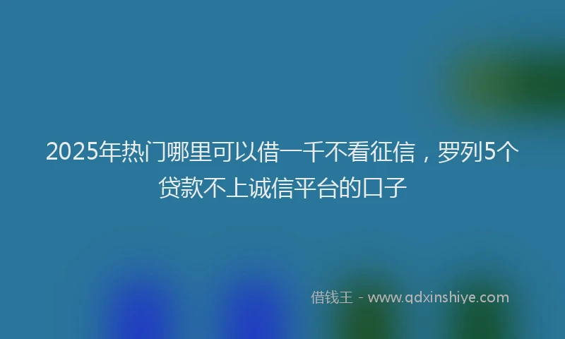 2025年热门哪里可以借一千不看征信，罗列5个贷款不上诚信平台的口子