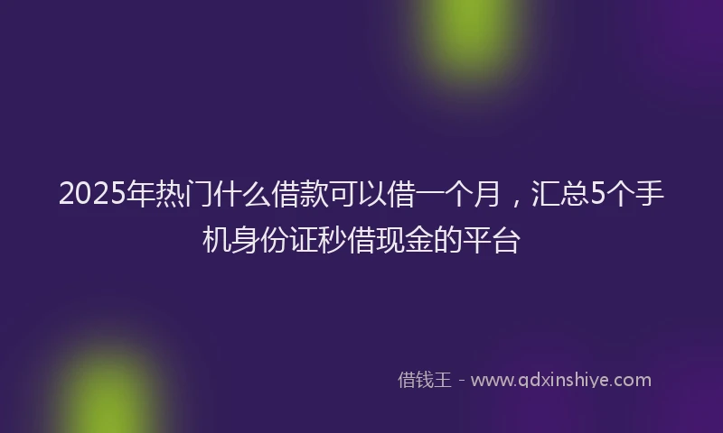 2025年热门什么借款可以借一个月，汇总5个手机身份证秒借现金的平台