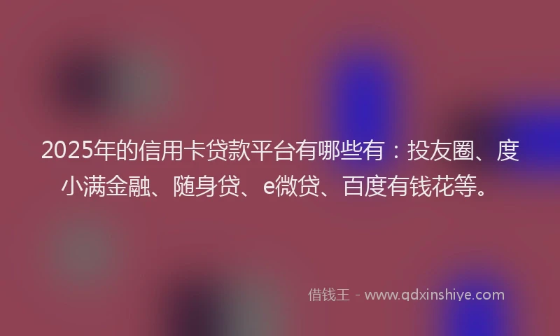 2025年的信用卡贷款平台有哪些有：投友圈、度小满金融、随身贷、e微贷、百度有钱花等。
