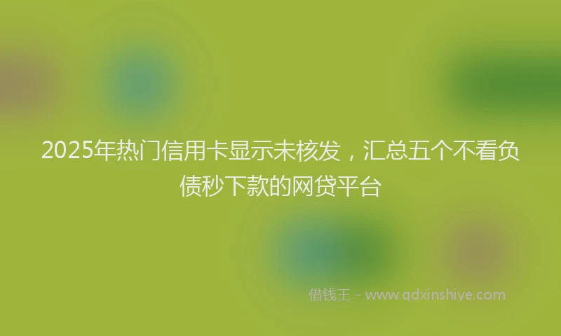 2025年热门信用卡显示未核发，汇总五个不看负债秒下款的网贷平台