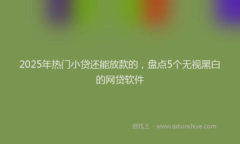2025年热门小贷还能放款的，盘点5个无视黑白的网贷软件