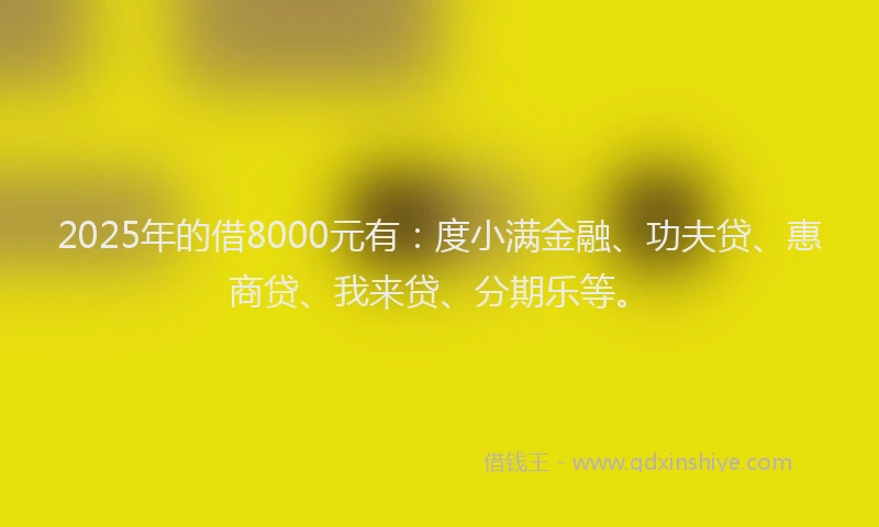 2025年的借8000元有：度小满金融、功夫贷、惠商贷、我来贷、分期乐等。