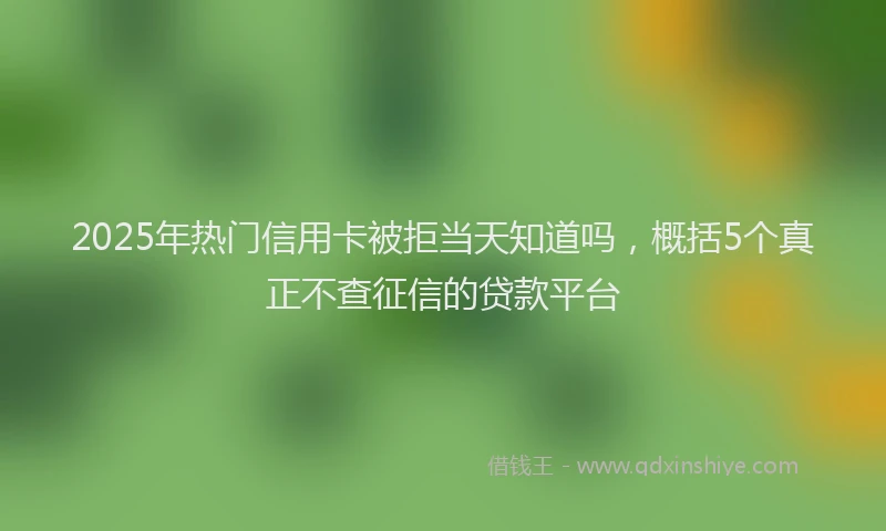 2025年热门信用卡被拒当天知道吗，概括5个真正不查征信的贷款平台
