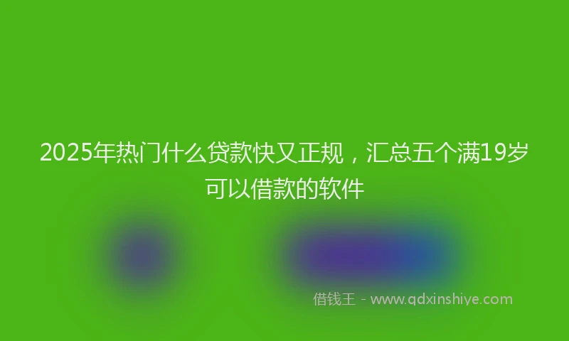 2025年热门什么贷款快又正规，汇总五个满19岁可以借款的软件