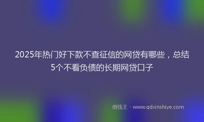 2025年热门好下款不查征信的网贷有哪些，总结5个不看负债的长期网贷口子
