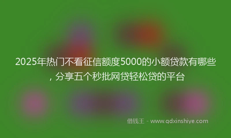 2025年热门不看征信额度5000的小额贷款有哪些，分享五个秒批网贷轻松贷的平台