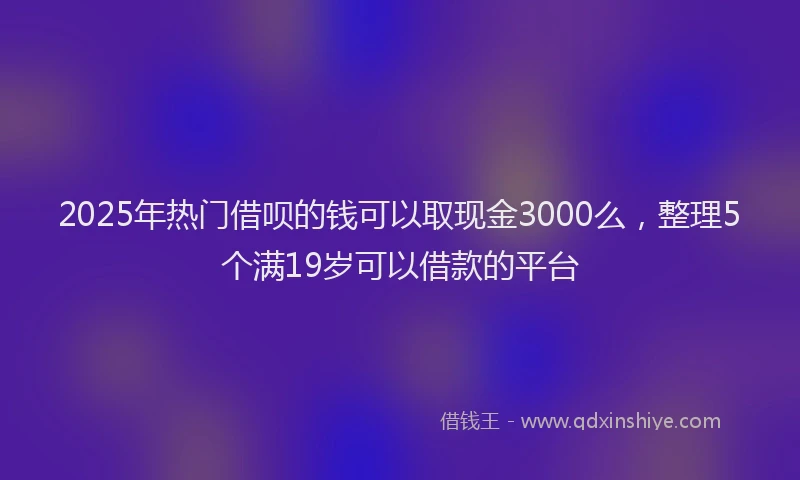 2025年热门借呗的钱可以取现金3000么，整理5个满19岁可以借款的平台