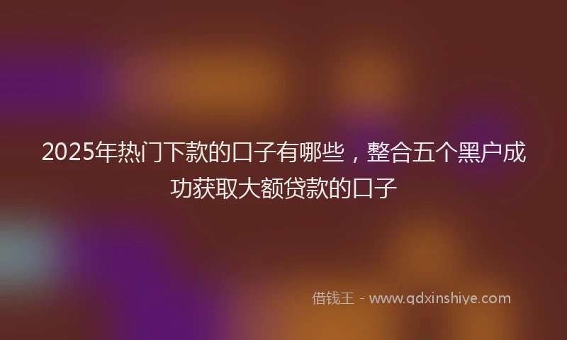 2025年热门下款的口子有哪些，整合五个黑户成功获取大额贷款的口子
