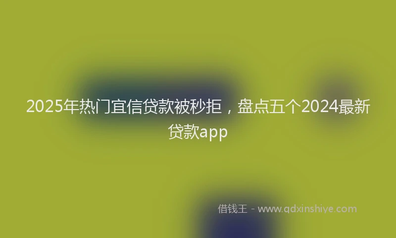 2025年热门宜信贷款被秒拒，盘点五个2024最新贷款app