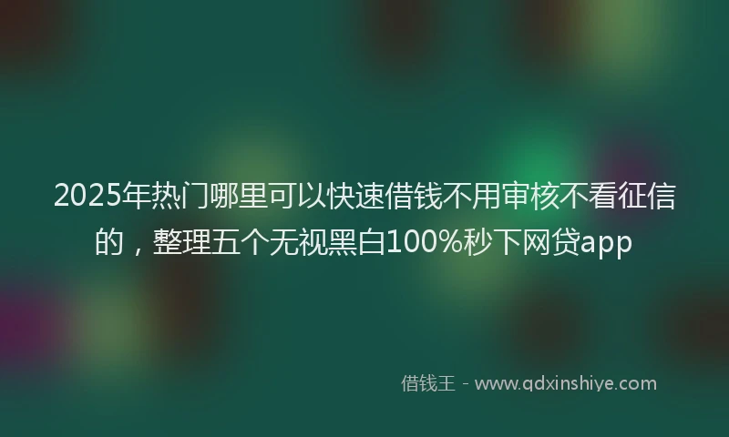 2025年热门哪里可以快速借钱不用审核不看征信的，整理五个无视黑白100%秒下网贷app