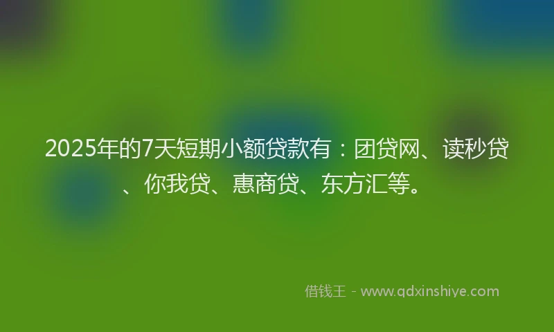 2025年的7天短期小额贷款有：团贷网、读秒贷、你我贷、惠商贷、东方汇等。