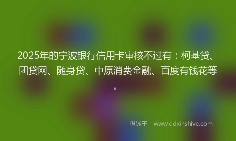 2025年的宁波银行信用卡审核不过有：柯基贷、团贷网、随身贷、中原消费金融、百度有钱花等。