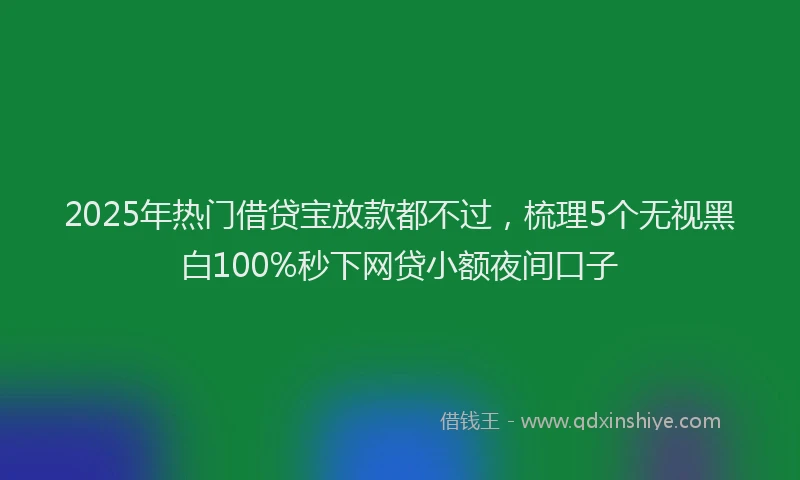 2025年热门借贷宝放款都不过，梳理5个无视黑白100%秒下网贷小额夜间口子