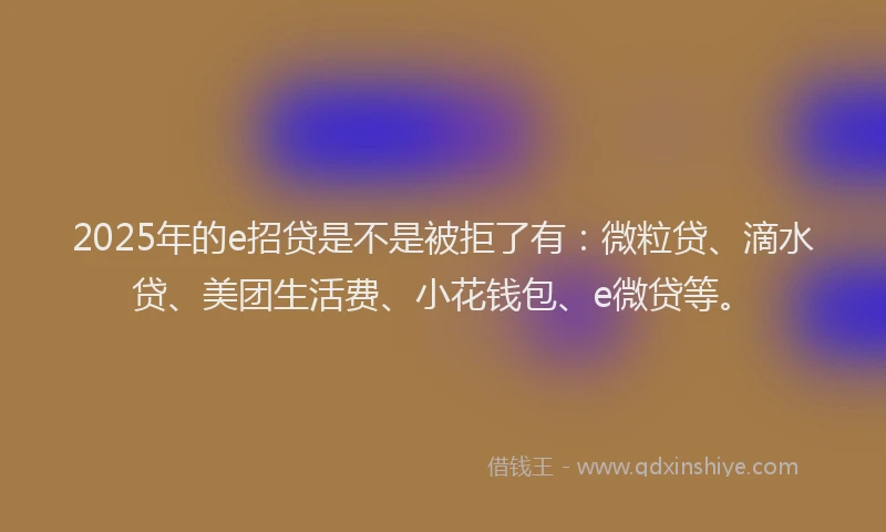 2025年的e招贷是不是被拒了有：微粒贷、滴水贷、美团生活费、小花钱包、e微贷等。