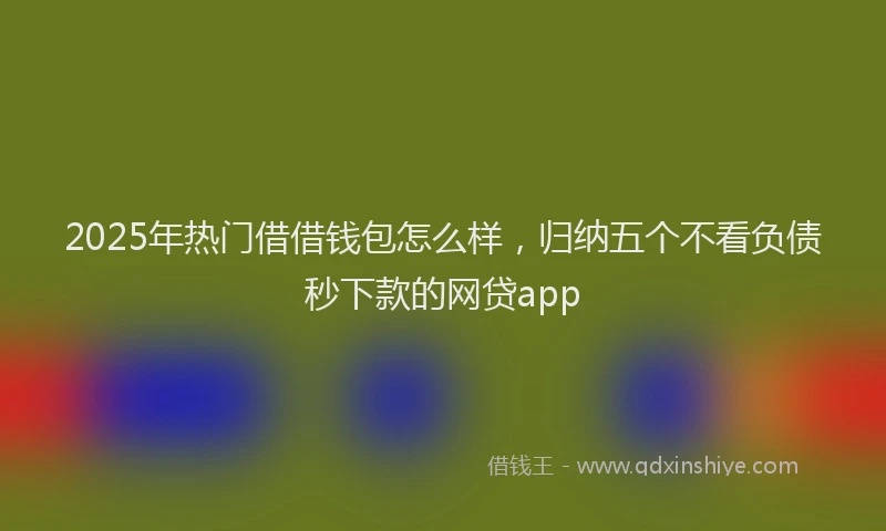2025年热门借借钱包怎么样，归纳五个不看负债秒下款的网贷app