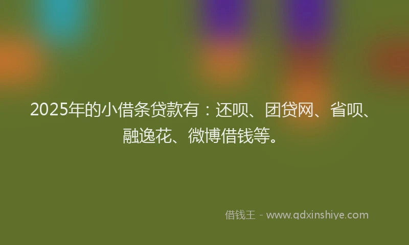 2025年的小借条贷款有：还呗、团贷网、省呗、融逸花、微博借钱等。