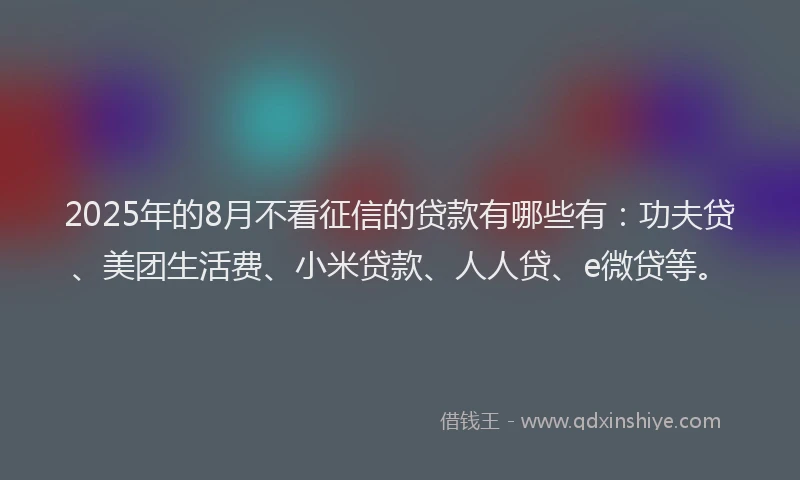 2025年的8月不看征信的贷款有哪些有：功夫贷、美团生活费、小米贷款、人人贷、e微贷等。