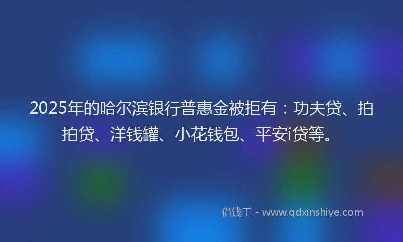 2025年的哈尔滨银行普惠金被拒有：功夫贷、拍拍贷、洋钱罐、小花钱包、平安i贷等。