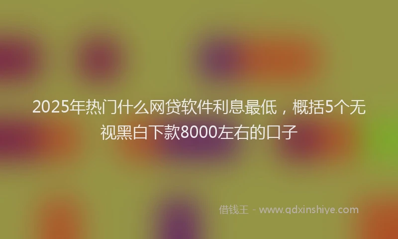 2025年热门什么网贷软件利息最低，概括5个无视黑白下款8000左右的口子