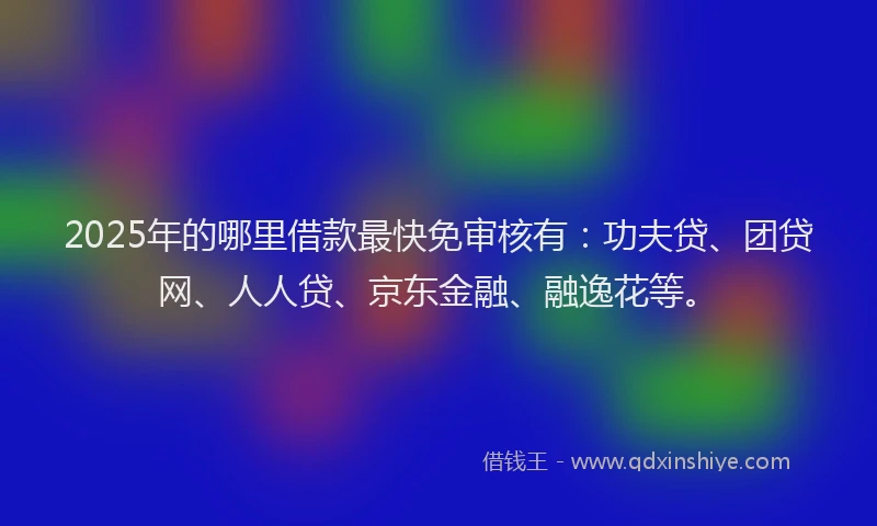 2025年的哪里借款最快免审核有：功夫贷、团贷网、人人贷、京东金融、融逸花等。
