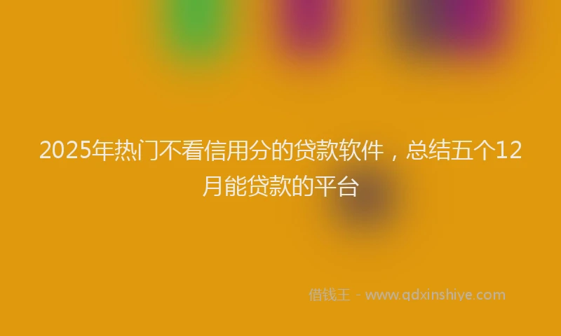 2025年热门不看信用分的贷款软件，总结五个12月能贷款的平台