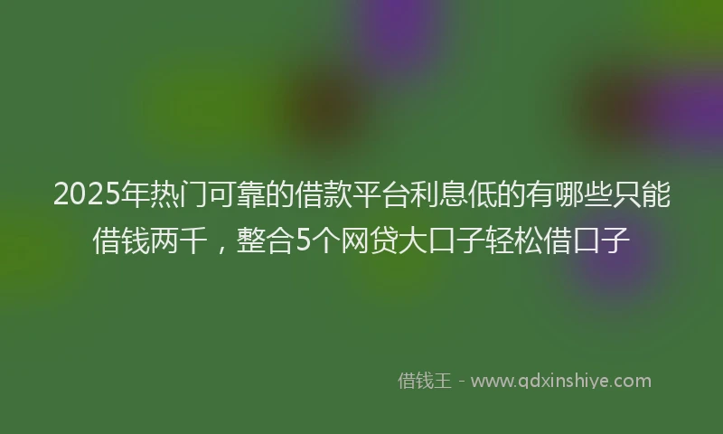 2025年热门可靠的借款平台利息低的有哪些只能借钱两千，整合5个网贷大口子轻松借口子