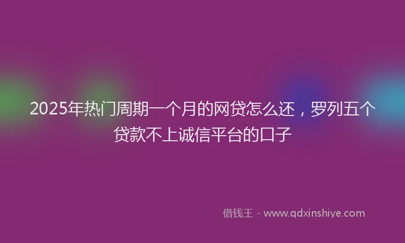 2025年热门周期一个月的网贷怎么还，罗列五个贷款不上诚信平台的口子