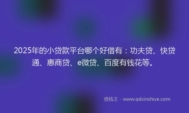 2025年的小贷款平台哪个好借有：功夫贷、快贷通、惠商贷、e微贷、百度有钱花等。
