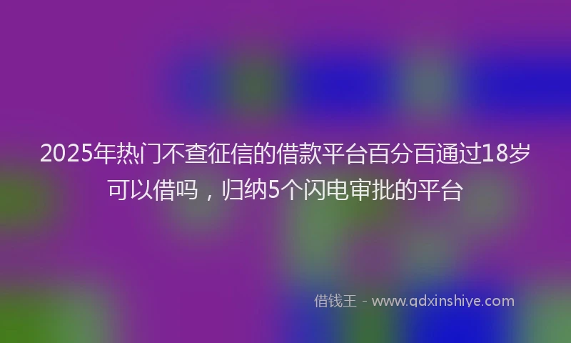 2025年热门不查征信的借款平台百分百通过18岁可以借吗，归纳5个闪电审批的平台