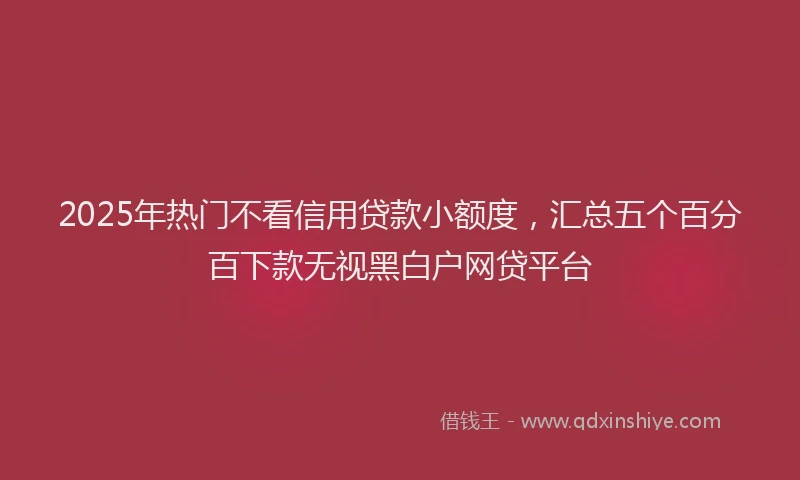 2025年热门不看信用贷款小额度，汇总五个百分百下款无视黑白户网贷平台