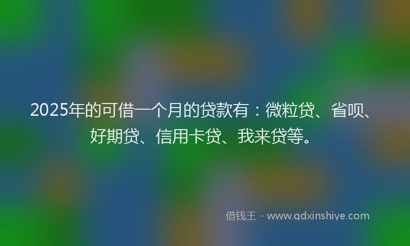 2025年的可借一个月的贷款有：微粒贷、省呗、好期贷、信用卡贷、我来贷等。