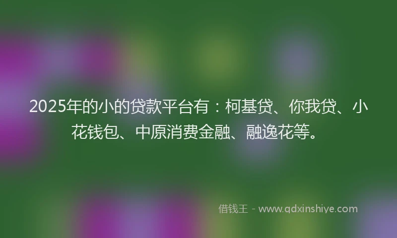 2025年的小的贷款平台有：柯基贷、你我贷、小花钱包、中原消费金融、融逸花等。