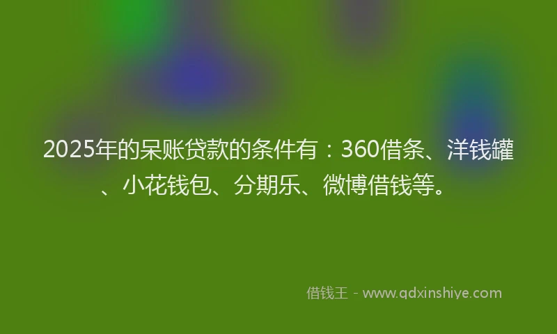 2025年的呆账贷款的条件有：360借条、洋钱罐、小花钱包、分期乐、微博借钱等。