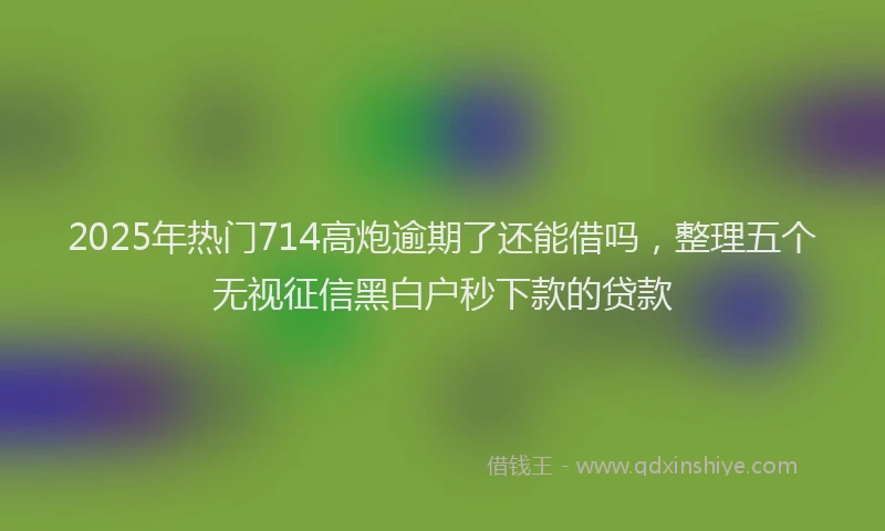 2025年热门714高炮逾期了还能借吗，整理五个无视征信黑白户秒下款的贷款
