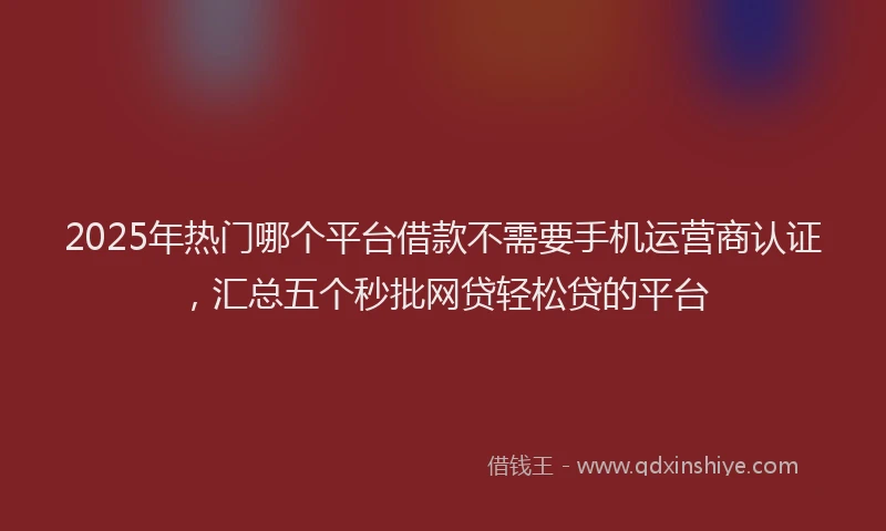 2025年热门哪个平台借款不需要手机运营商认证，汇总五个秒批网贷轻松贷的平台