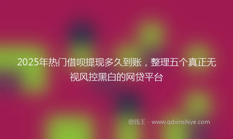 2025年热门借呗提现多久到账，整理五个真正无视风控黑白的网贷平台