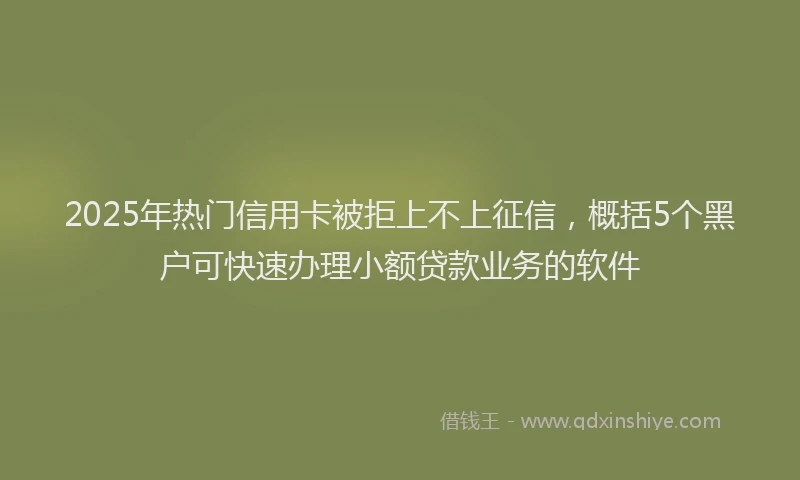 2025年热门信用卡被拒上不上征信，概括5个黑户可快速办理小额贷款业务的软件