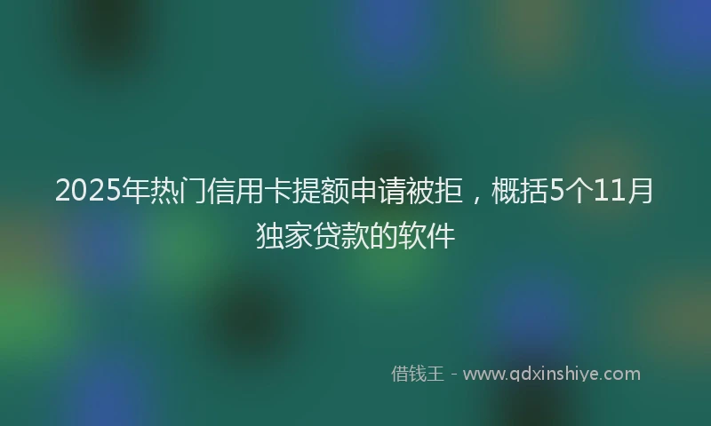 2025年热门信用卡提额申请被拒，概括5个11月独家贷款的软件