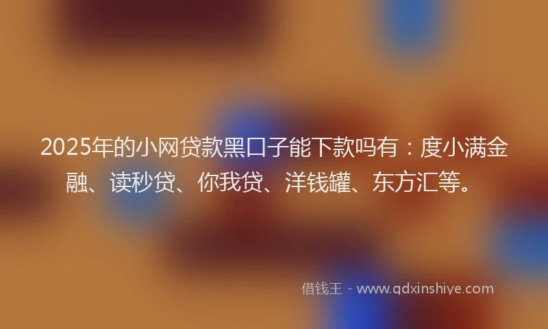 2025年的小网贷款黑口子能下款吗有：度小满金融、读秒贷、你我贷、洋钱罐、东方汇等。